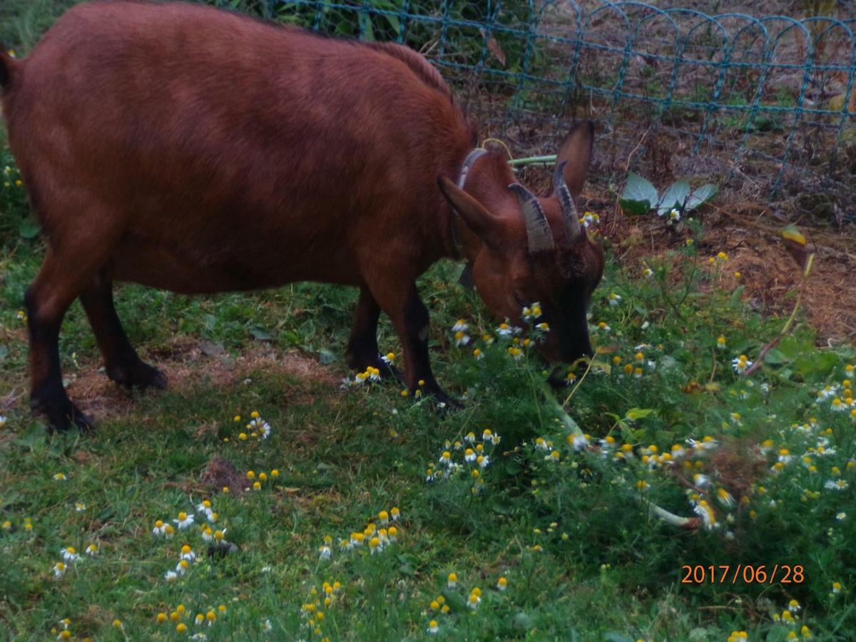 Camping Du Creulet Crouay Luaran gambar