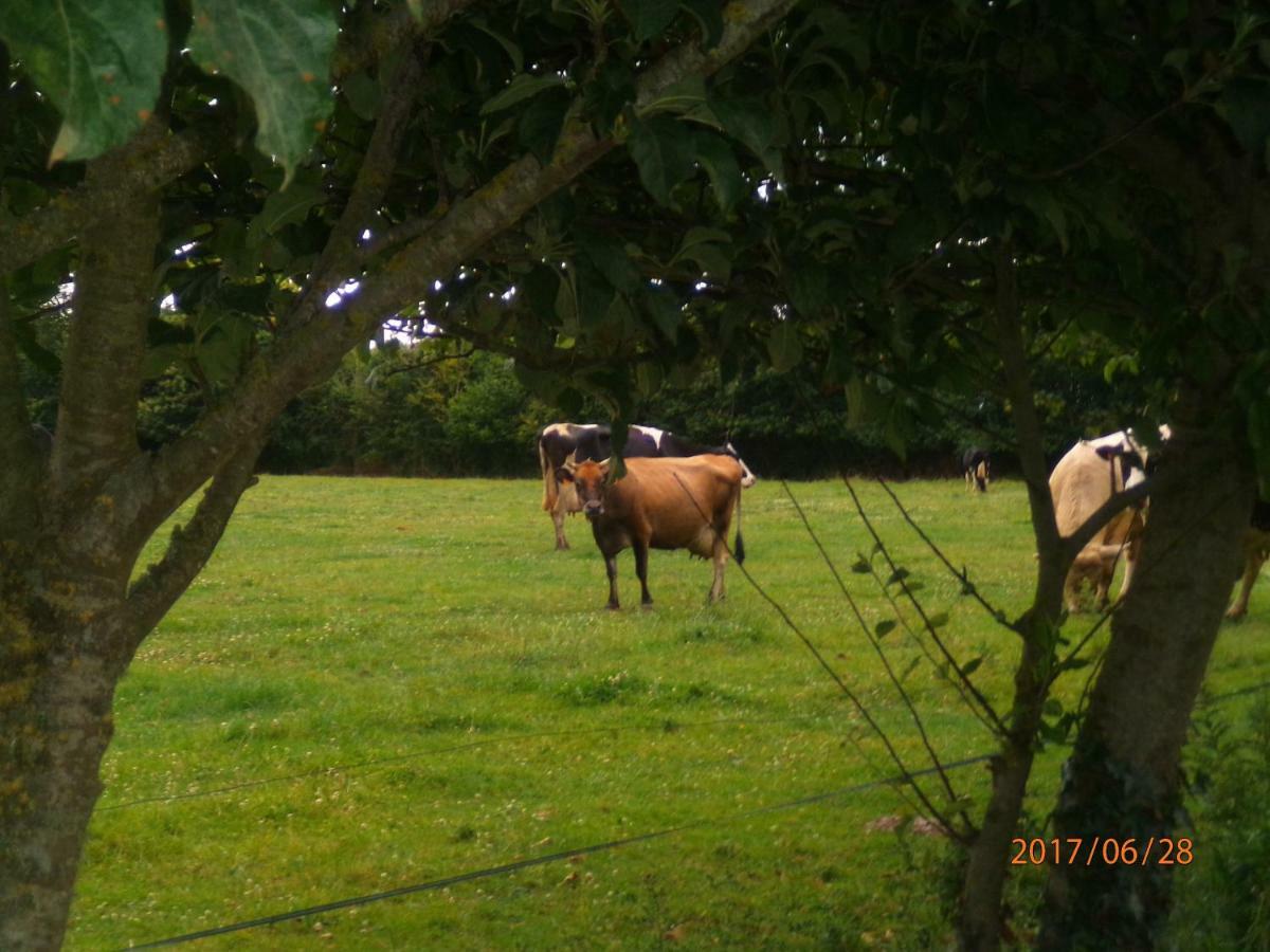 Camping Du Creulet Crouay Luaran gambar