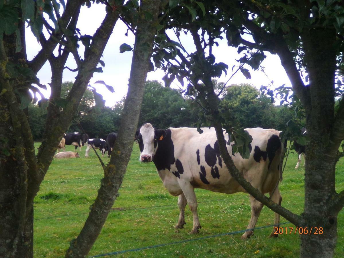 Camping Du Creulet Crouay Luaran gambar